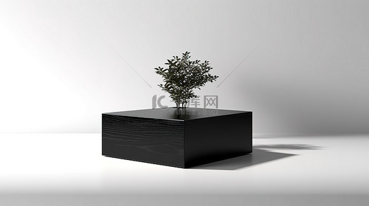 站在白色桌子上的黑色木箱模型的 3D 渲染，树木投射的阴影