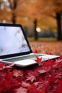 芝加哥秋季公园笔记本电脑桌面上的红叶