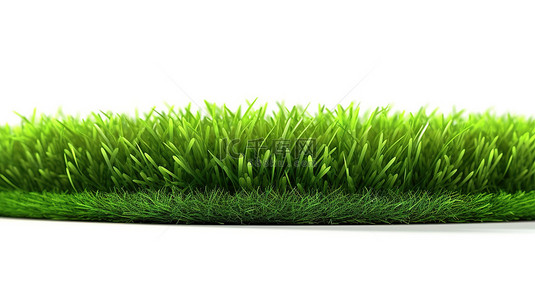 足球草地背景图片_郁郁葱葱的绿草反对白色背景 3d 渲染