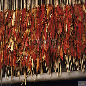 街上竹架上挂着的智利辣椒