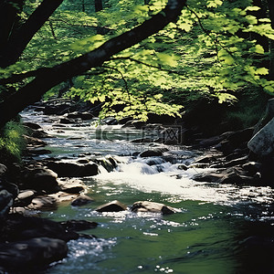绿色的溪流穿过绿色的树林