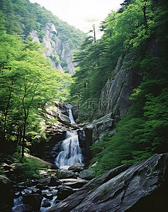 瀑布流经小径岩石中间的森林