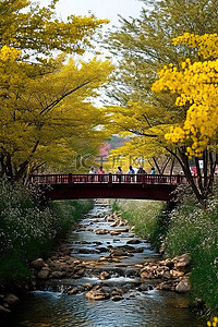 人们漫步在鲜花盛开的小溪旁
