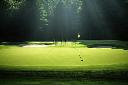 带有阳光的绿草高尔夫球洞
