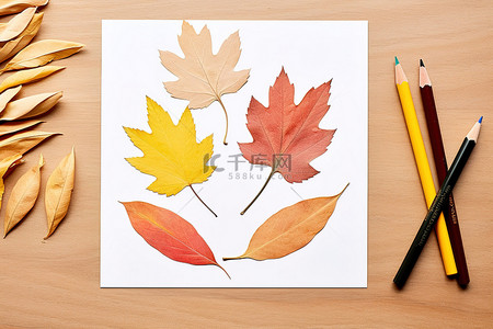 留学照片背景图片_用干树叶和剪刀着色的纸照片