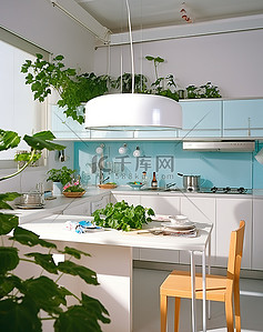 现代小厨房，白色墙壁白色橱柜和绿色植物