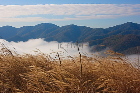 云中周围群山的景色