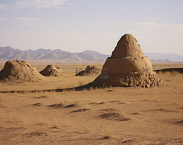中国石头背景图片_荒芜的沙漠和一堆石头旁边的草