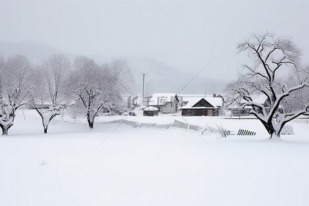 一个有树木和房屋的白雪覆盖的村庄