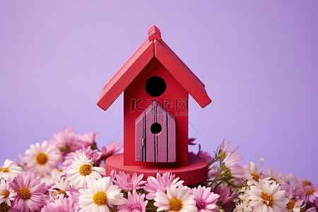 春天花朵红色背景图片_开花的花朵上的红色鸟屋