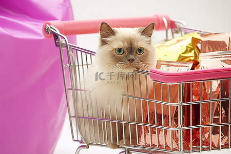 购物袋里的猫坐在购物车里