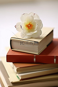 一摞橙色书顶上的一朵白花
