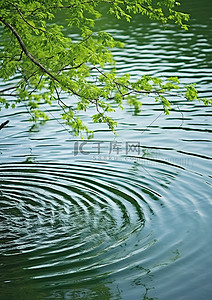 su水面背景图片_水中的圆形图案