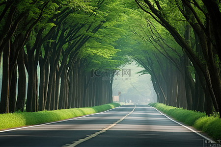 走在乡间的大路上背景图片_通向一条有成排树木的大路的路