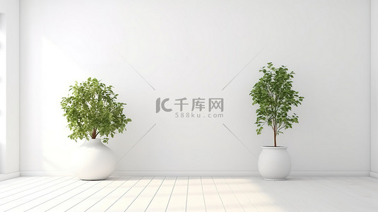 简约白色房间内盆栽植物的 3D 渲染
