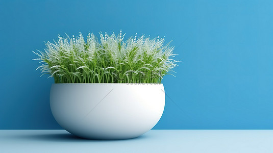 陶瓷花盆背景背景图片_3D 渲染的白色陶瓷花盆，蓝色背景下有茂密的草