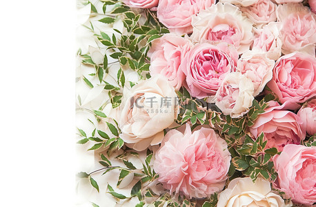 白色玫瑰背景图片_白色背景上的一束粉色和白色玫瑰