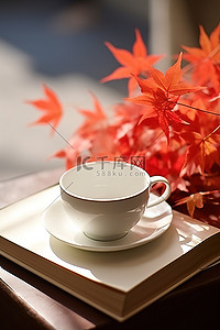 橙色枫叶背景图片_一本书橙色杯子和桌子上的红叶