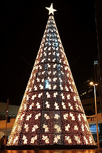圣诞树夜晚背景图片_一棵巨大的点燃的圣诞树被包围
