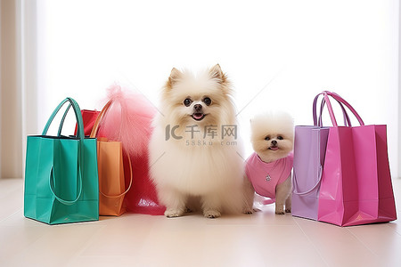 表面上一些彩色购物袋旁边有几只狗