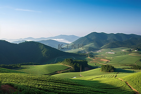 从韩国北道的 Kaek 山谷看到午后阳光下山上庄稼的景色