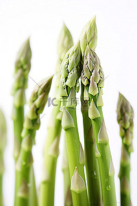 蔬菜免扣PNG图背景图片_白色背景中许多健康的芦笋茎
