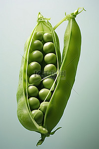 豌豆射手背景图片_豆荚里的青豌豆的图像