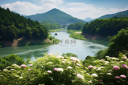 大江大河背景图片_一座大山附近的一条大河，有很多花