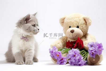 毛绒刺猬背景图片_猫坐在地毯上，旁边是一只带花的毛绒熊