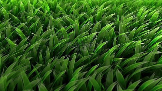 郁郁葱葱的草坪高分辨率 3D 渲染自然背景