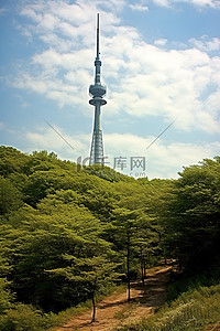 春天旅行背景图片_电视塔周围有树木和树木