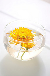 玻璃碗里的一朵橙花