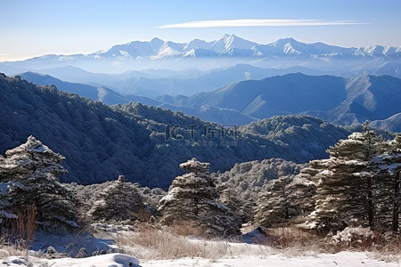 冬天有许多山脉和积雪覆盖的树木