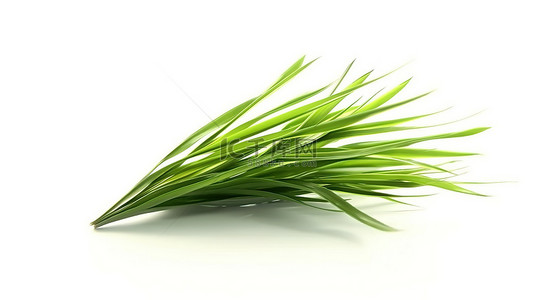 绿色绿叶背景图片_白色上隔离的引人注目的新鲜绿草叶片的 3D 插图