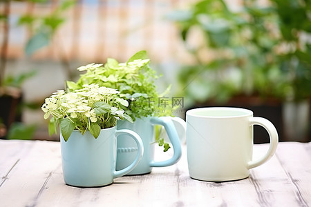 水盆背景图片_几个杯子放在水盆旁边，桌子上有绿色植物