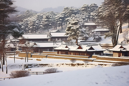 山清村 首尔 朝鲜 冬天 雪
