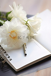 华人日历背景图片_一朵白花坐在计划器顶部
