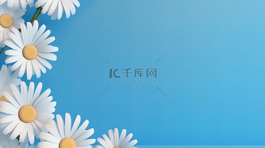 标题框春天背景图片_3d 渲染圆形渐变蓝色背景与白色雏菊标题框架