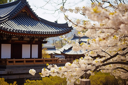 一座开满白花的寺庙，周围环绕着金色和黑色的中国树木