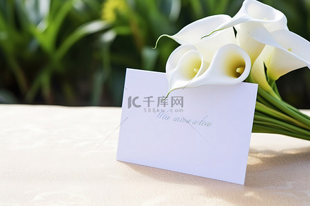 标签装饰背景图片_一朵白色马蹄莲和一个没有标签的婚礼标志