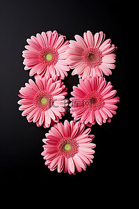 爱情花背景图片_粉红色的花变成了拼写爱情的单词