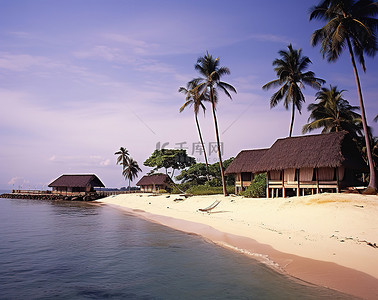 棕榈树背景图片_一个热带小岛和热带海滩小屋