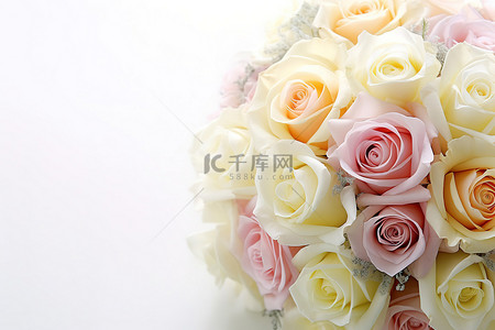 表白玫瑰背景图片_白色表面上的白玫瑰花束