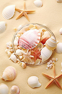 沙滩上的贝壳海报打印