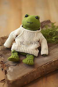 一件印有绿色青蛙的毛衣