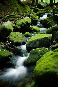 古诗瀑布背景图片_一条快速流动的溪流在绿色岩石和绿色苔藓的森林中流过