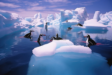 冰上嬉戏背景图片_漂浮在浮冰上的南极花雀