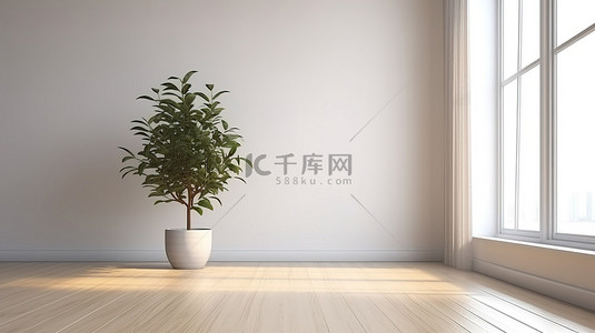 茁壮成长背景图片_3d 渲染植物在空荡荡的房间里茁壮成长