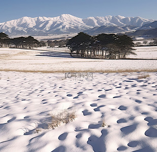 天气背景图片_掠过田野上的积雪