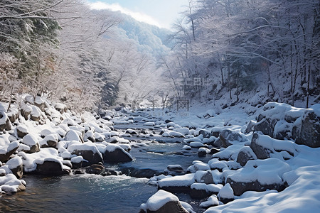 繁茂枯萎背景图片_一条河流，位于树木繁茂的地区，岩石和树木被雪覆盖
